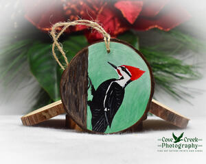 A hand-painted pileated woodpecker on a wood slice Christmas ornament available at Cove Creek Photography.